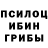 Галлюциногенные грибы Psilocybe Zuz1ck