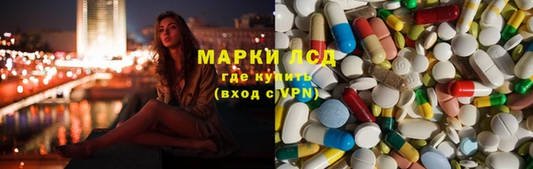 дмт Алзамай
